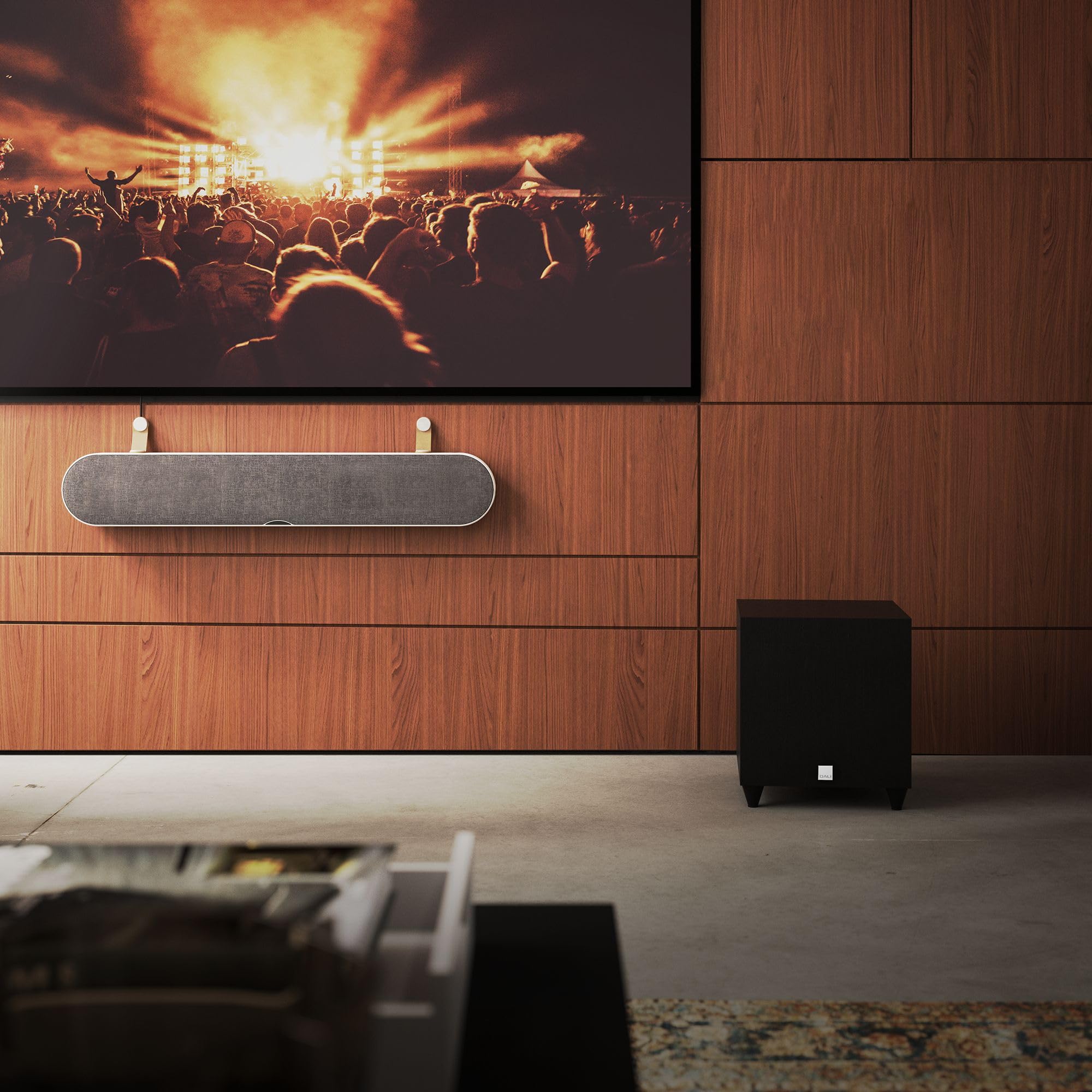 dali-sub-c-8-d-kompakt-subwoofer-8-zoll-downfire-170-watt image 6